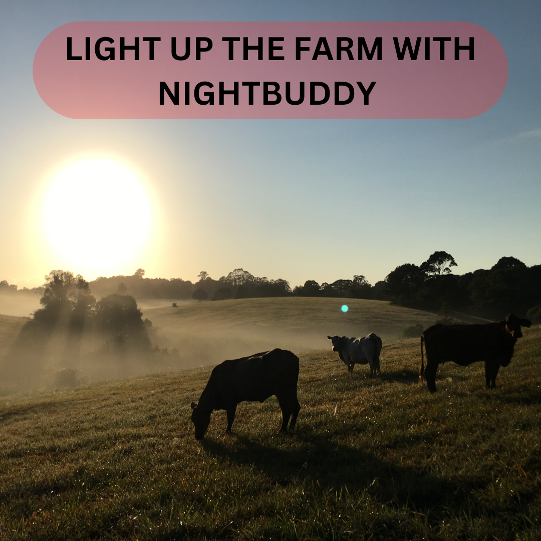 Light Up Your Farm Life with NightBuddy