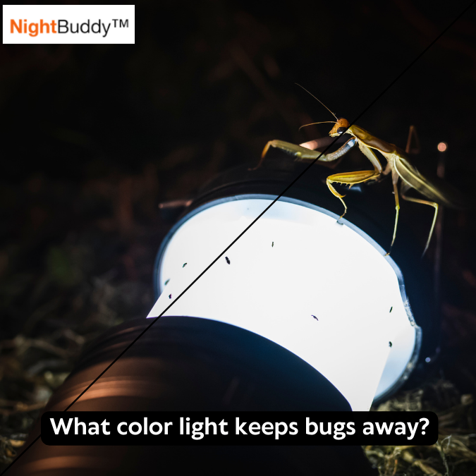 Do LED Lights Keep Bugs Away? - Light Colors to Reduce Insects