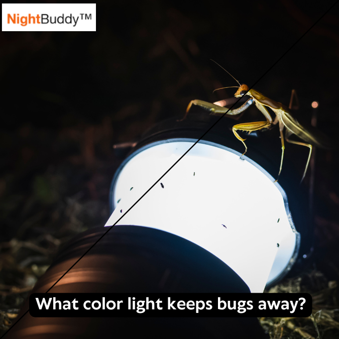What color light keeps bugs away