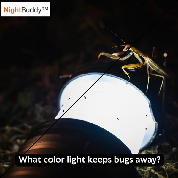 What Color Light Keeps Bugs Away?