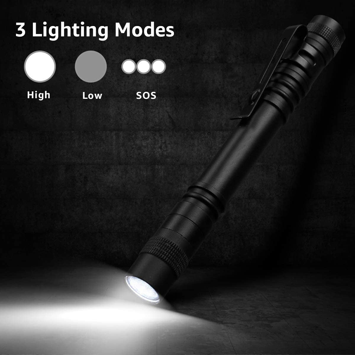 pocket flashlight with clip